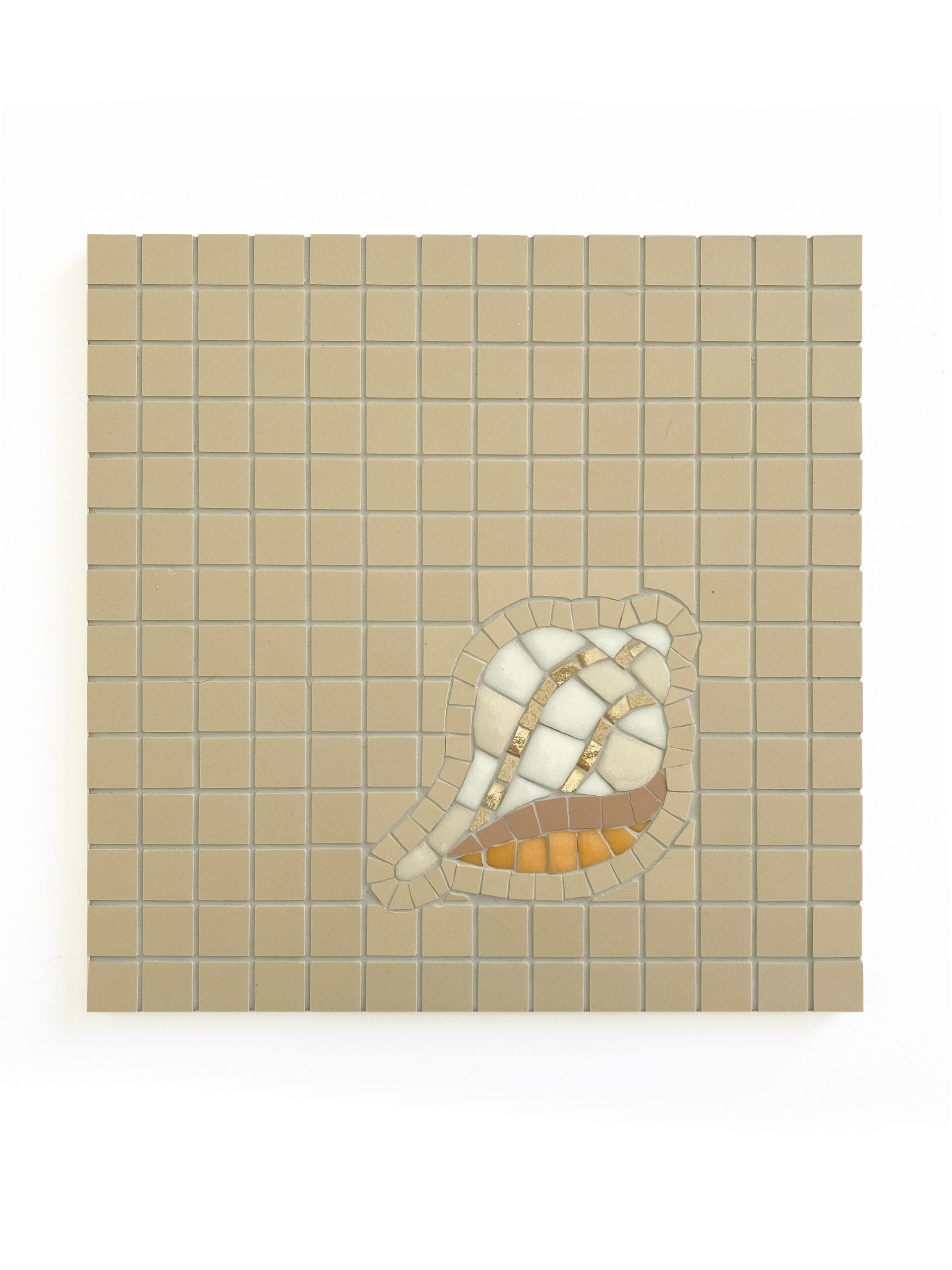 coquillageB
